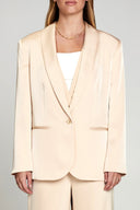 Suit Me Up Satin Blazer